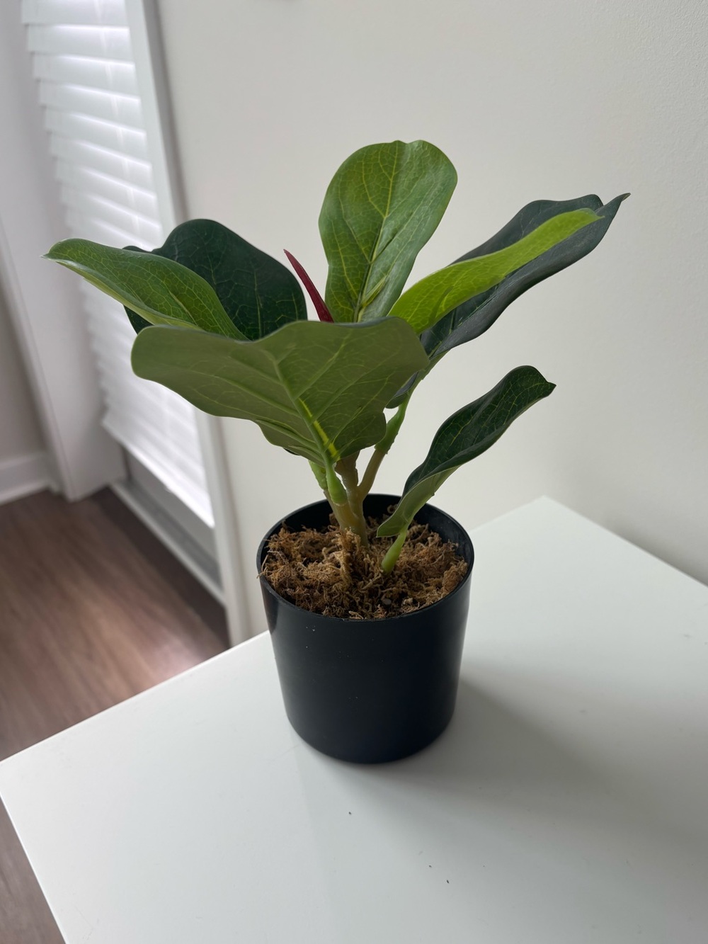 Artificial Fiddle Leaf Potted Plant